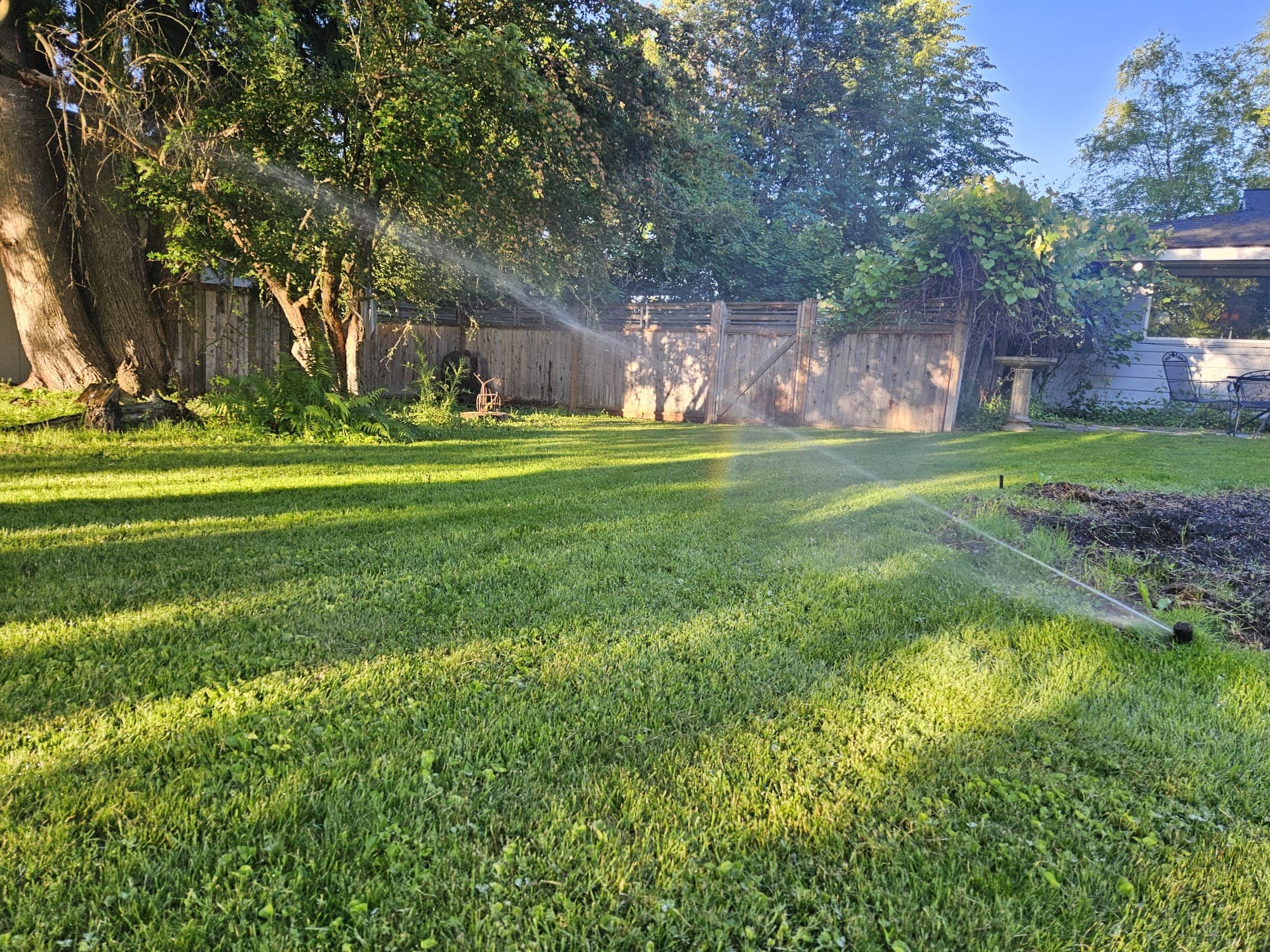 Backyard sprinkler heads running with sun rays through the trees