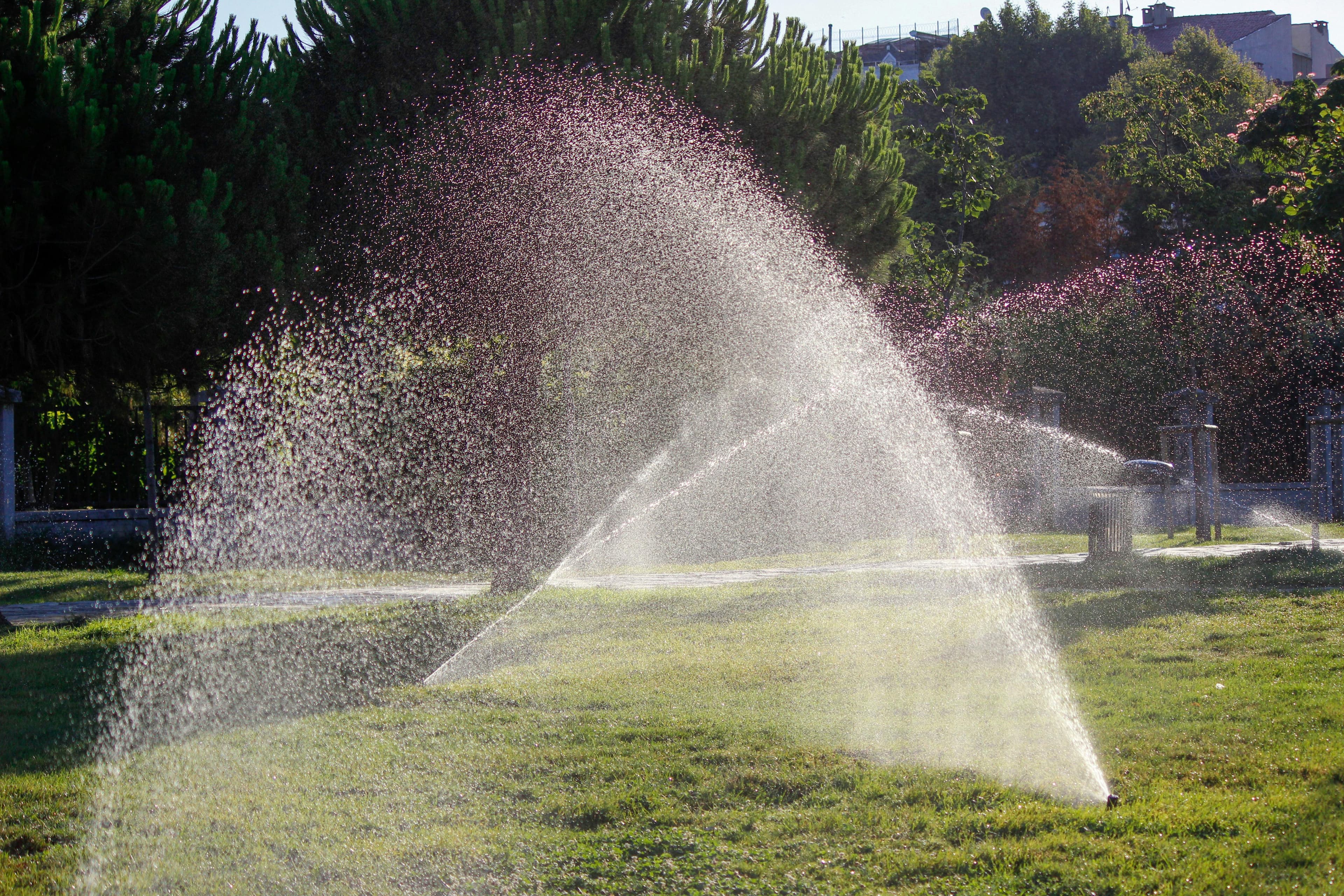Sprinkler system watering a lush green lawn
